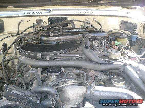 engine bay with hoses, wires, and engine components visible