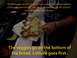 1989 Ford Bronco - A person is making a sandwich, adding lettuce and meat to the bread.