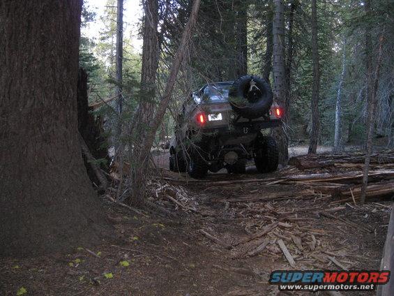 Dark green Ford Bronco with spare tire on rear, off-roading in a forest