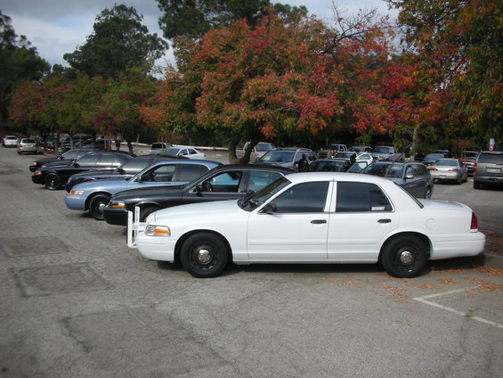 White Ford Crown Victoria Police Interceptor parked in a lot with other cars, autumn trees in background