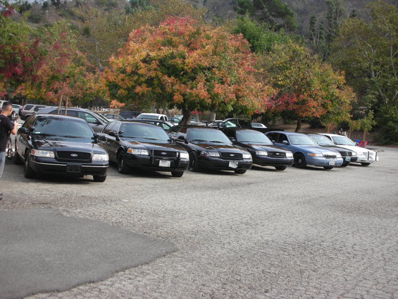Several black Ford Crown Victoria police cars parked in a lot with fall foliage trees in the background