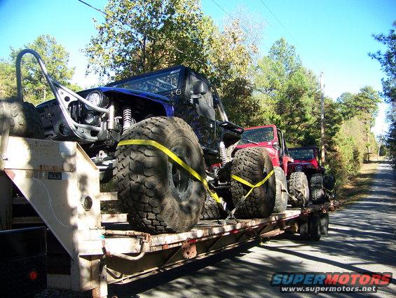 Blue and red modified Jeeps secured with yellow straps on a flatbed trailer
