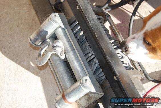 Dog sniffing a winch with cable wound on it