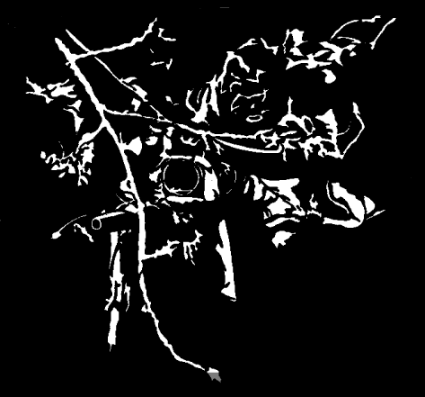 abstract white lines on black background