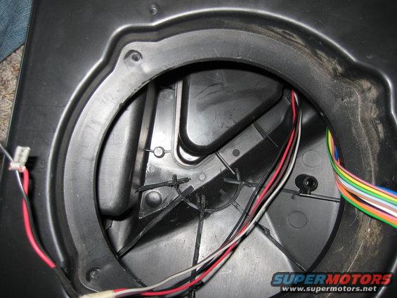 Speaker enclosure with wiring harness and red, white, and black wires visible