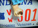 2002 Ford Crown Victoria