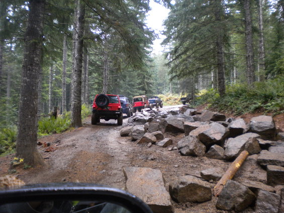 Several Jeeps driving on a rough, rocky path through a dense forest