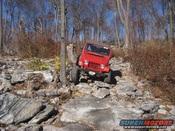 Red Jeep Wrangler navigating a rocky trail with trees and fallen leaves