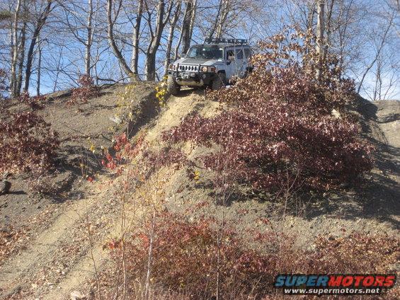 Silver SUV with roof rack driving up a dirt hill, surrounded by trees and brush