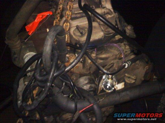 Engine bay with hoses and chains, orange marker on a hose