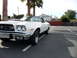 1973 Ford Ranchero - White 1973 Ford Ranchero parked in a lot with palm trees and houses in the background.