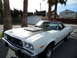 1973 Ford Ranchero - This 1973 Ford Ranchero features a distinctive black hood stripe and a classic pickup truck bed.