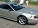 1994 Ford Mustang photo