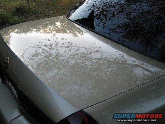 2000 Mercury Grand Marquis trunk lid and rear window showing reflections of trees and sky
