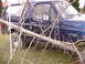 1995 Ford Bronco