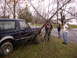 1995 Ford Bronco