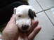 DSC03670.JPG