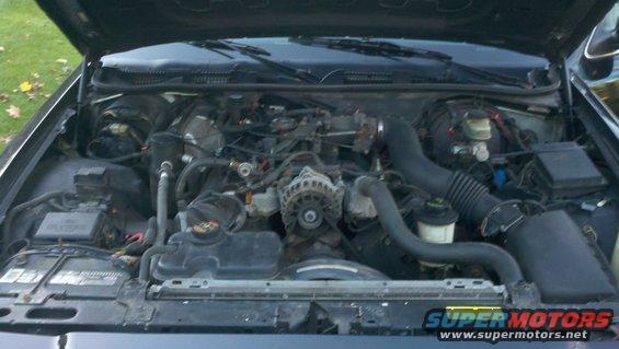 1999 Ford Crown Victoria engine bay