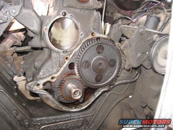 img_3092.jpg They look to be in nice shape.