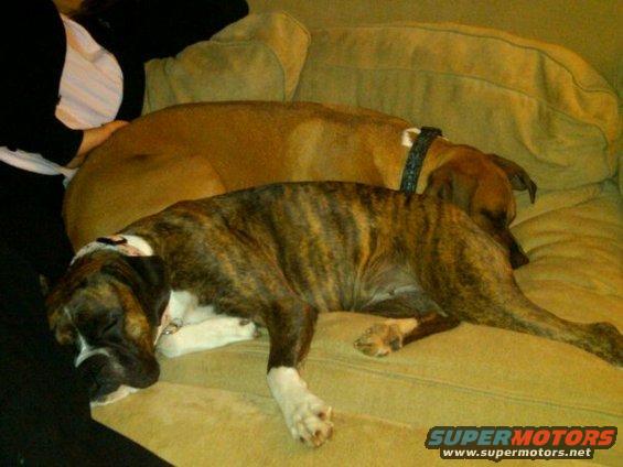 sunny-and-axel.jpg 