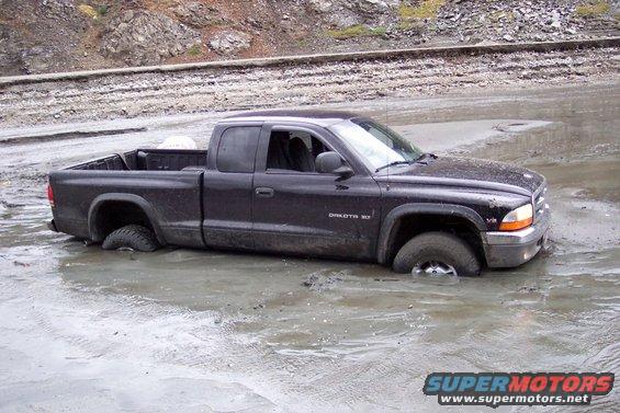 Black Dodge Dakota stuck in mud, side view