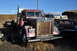 1959 Kenworth W900A &ldquo;CC925&rdquo;