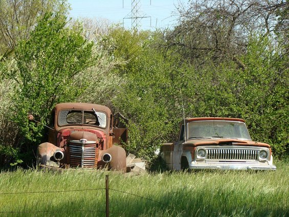 Two rusty trucks sit in tall grass, one is a red cab truck, the other is an orange pickup