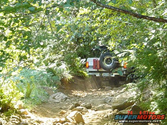 Disappearing into the woods.....
