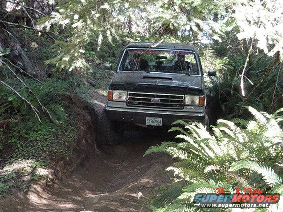 wheeling-82403-franks-pics-091.jpg More ruttin'........