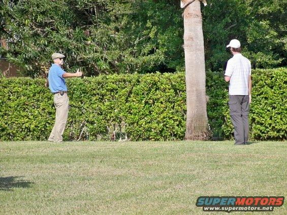 Two men stand in a yard near a palm tree and hedge