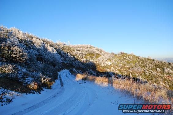 Snowy tire tracks on a dirt road going up a frosted hillside under a clear blue sky