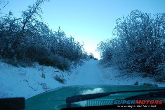 Green vehicle hood on snowy path with ice-covered trees
