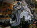 1993 Ford Probe - Engine assembly with visible timing belts and exhaust manifold in a cluttered garage setting.