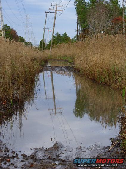 muddy path through tall dry grass with power lines reflected in a puddle