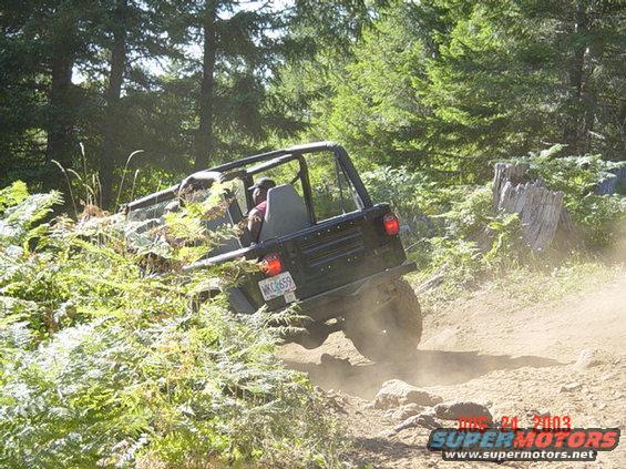 wheeling-wfrank-82403-119.jpg Disappearing in to the woods...