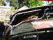 1989 Ford Taurus photo