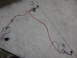 2003 Ford Crown Victoria - This is a detached automotive wiring harness, not a complete vehicle.