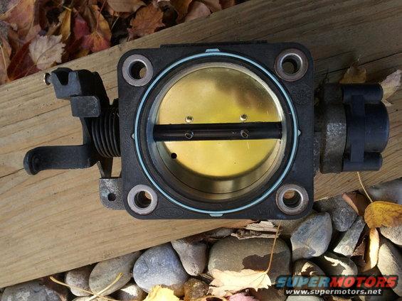Throttle body with brass plate and black butterfly valve, resting on wood and rocks