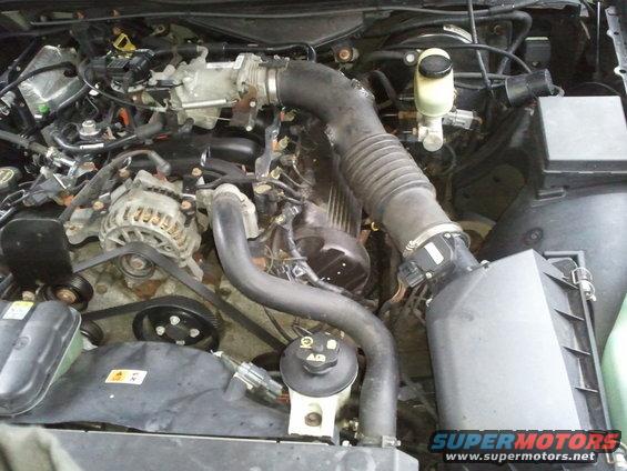 Engine bay of a 2003 Ford Crown Victoria, showing the V8 engine, alternator, and air intake system