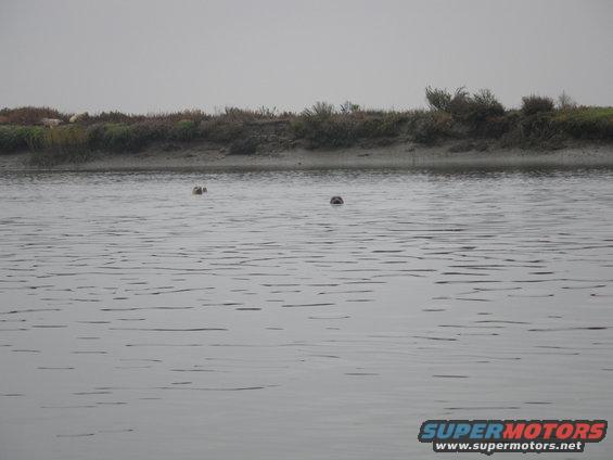kayak-037.jpg 
