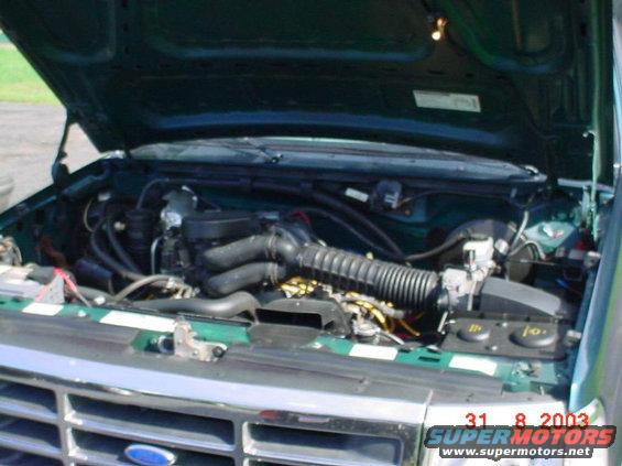 1995 Ford Bronco engine bay with hood open, showing the engine and front grille