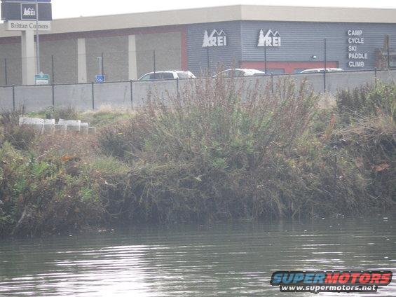 Two SUVs parked in front of an REI store, with a body of water in the foreground