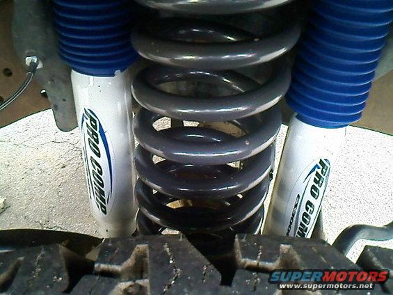 front-shocks.jpg