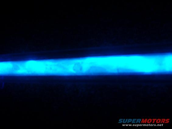 im000677.jpg crackle neon