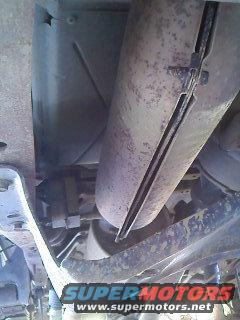 view-of-final-path-to-future-cats-and-muffler-.jpg