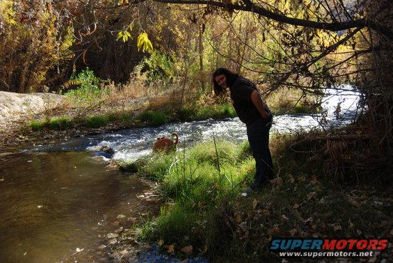 Person and dog by a stream in autumn