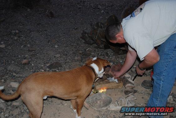 Man starting a campfire with a dog nearby in a rocky outdoor area