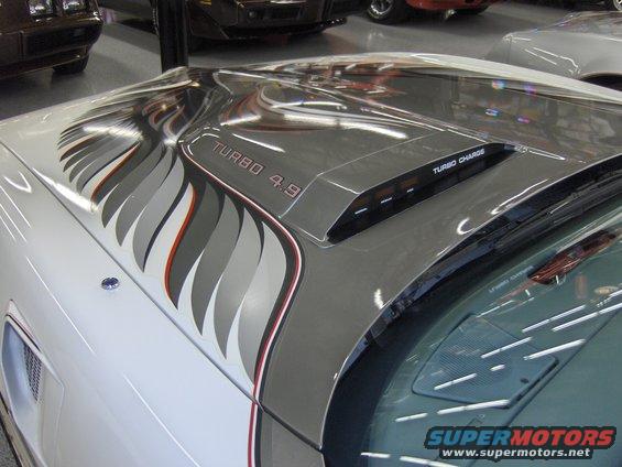 Hood scoop with