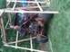 IMG00033-20100523-1256.jpg