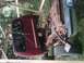 IMG00035-20100523-1256.jpg